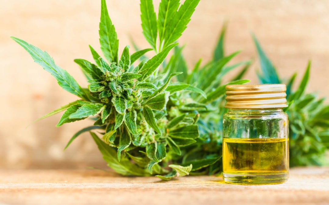 CBD Has Proven Medicinal Value, But Can It Treat Anxiety?