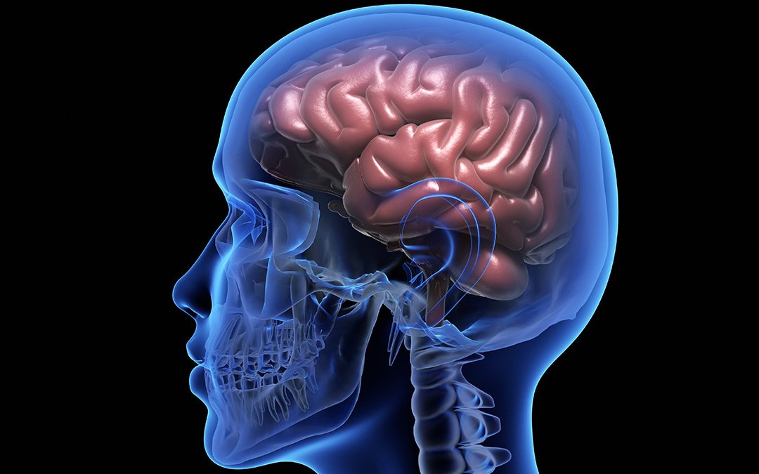 Watch How CBD Kills Cancer Cells While Leaving Healthy Cells Unharmed